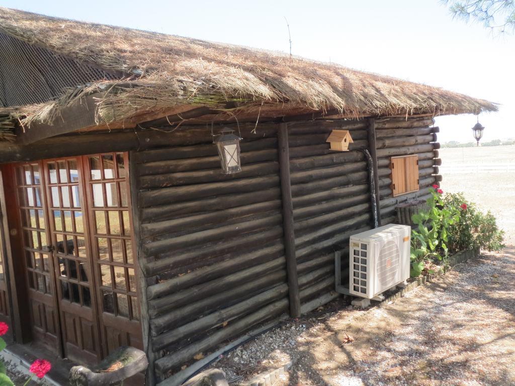 Monte Do Sobral, Turismo Rural Alcáçovas Exterior foto